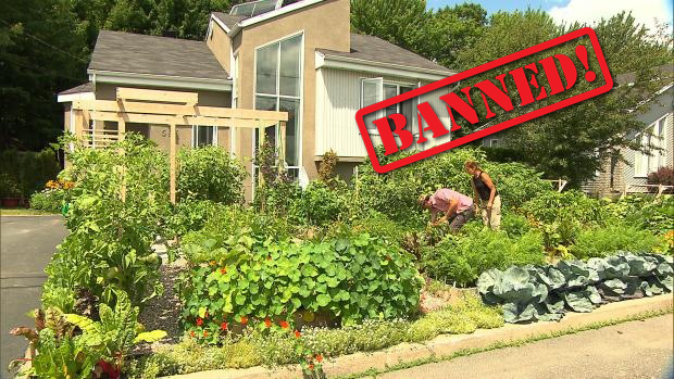 Agenda 21 Banning Gardens in Yards