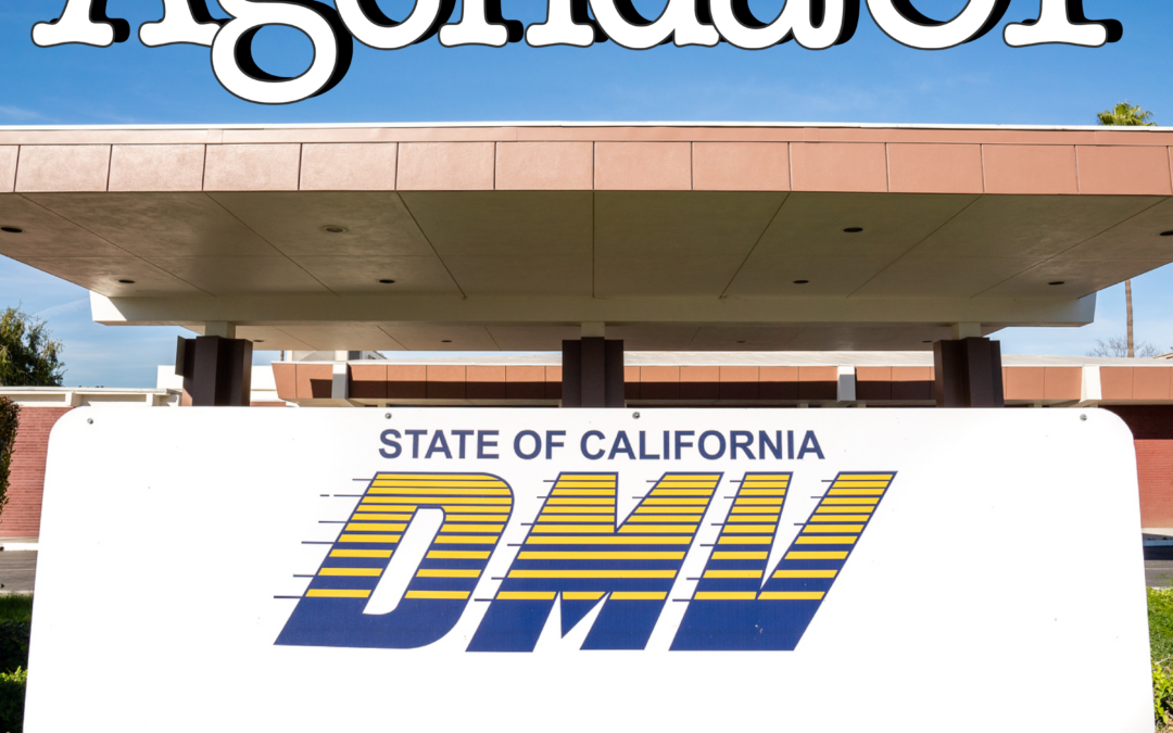 A31-137 – When You Consented to Waiving Protected Rights & Became a Federal Citizen, Not a State Citizen